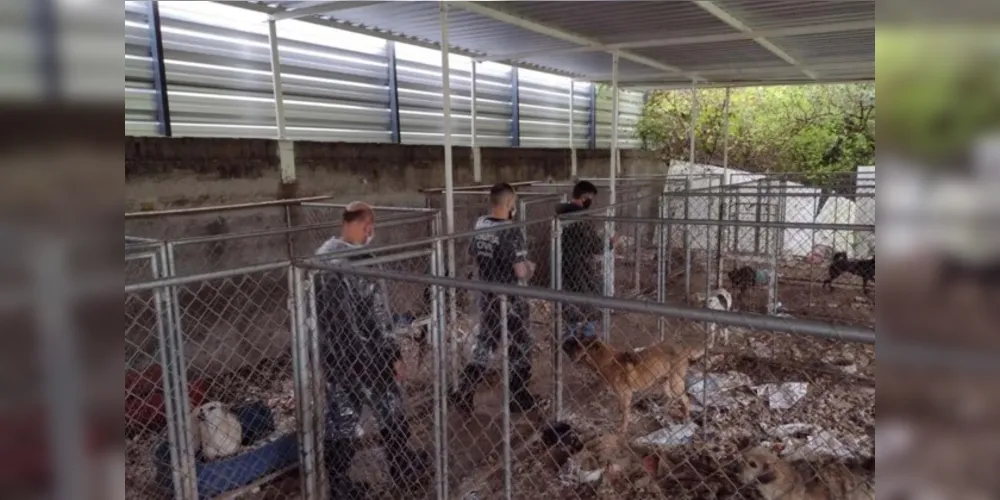 Animais estavam trancados e vivendo em condições insalubres