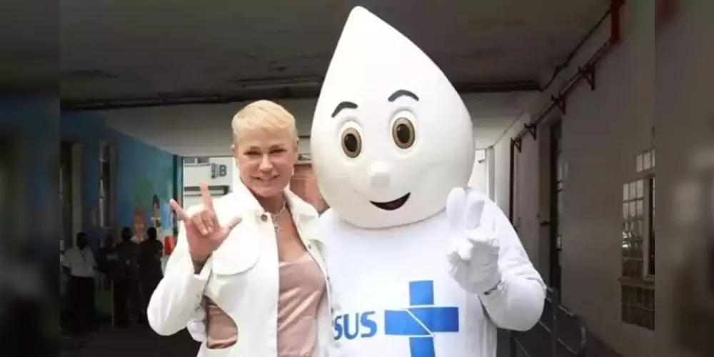 A apresentadora Xuxa Meneguel vai ser a embaixadora da próxima campanha