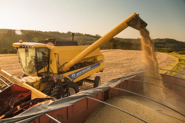 Produção de soja correspondeu a 32,5% de todo o VBP dos municípios da região dos Campos Gerais