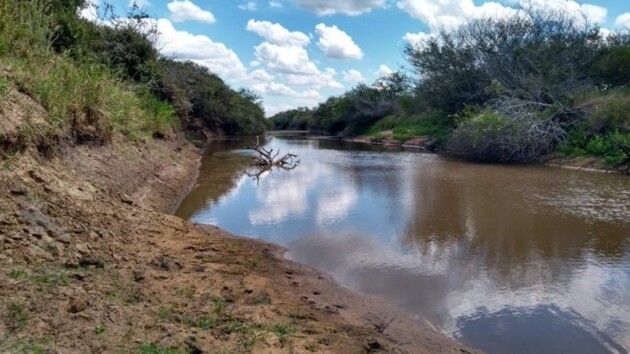 Conforme informações da Defesa Civil, 317 município decretaram emergência por conta da falta de chuvas