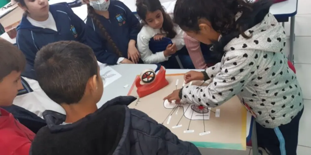 Diversas etapas permitiram entendimento sobre assunto do organismo