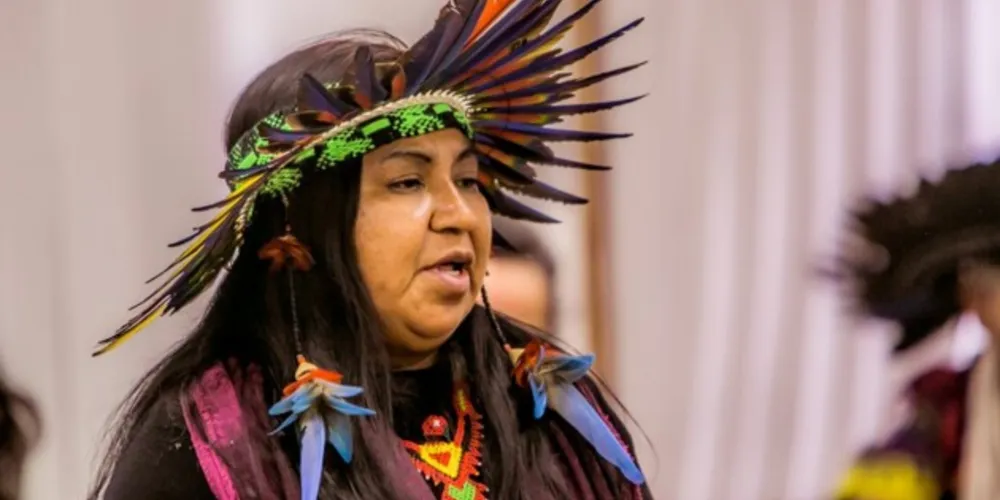 Os e-books não têm propósito comercial e estão disponíveis gratuitamente