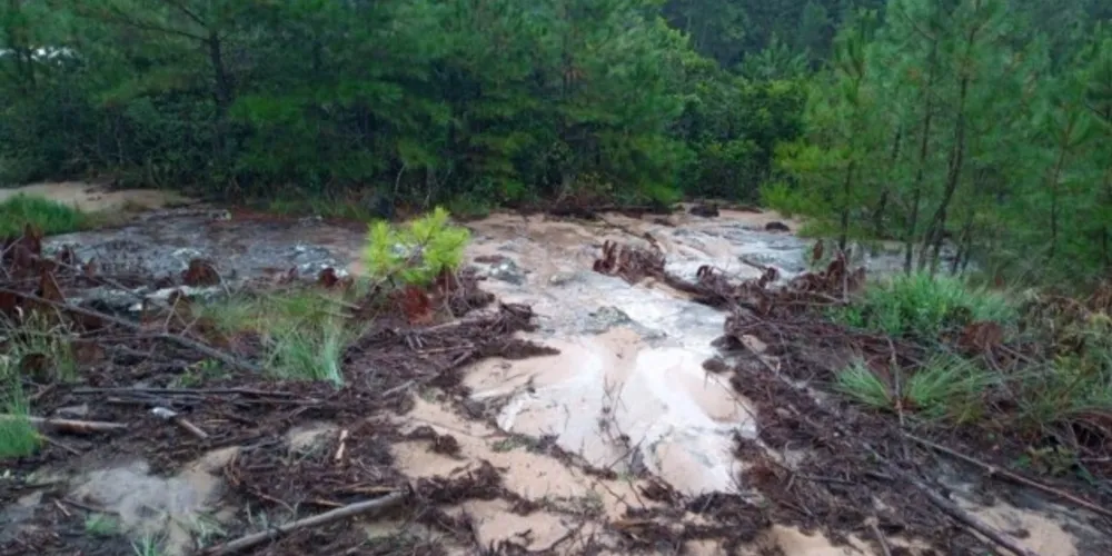 Contaminação foi causada pelo corte de árvores na região