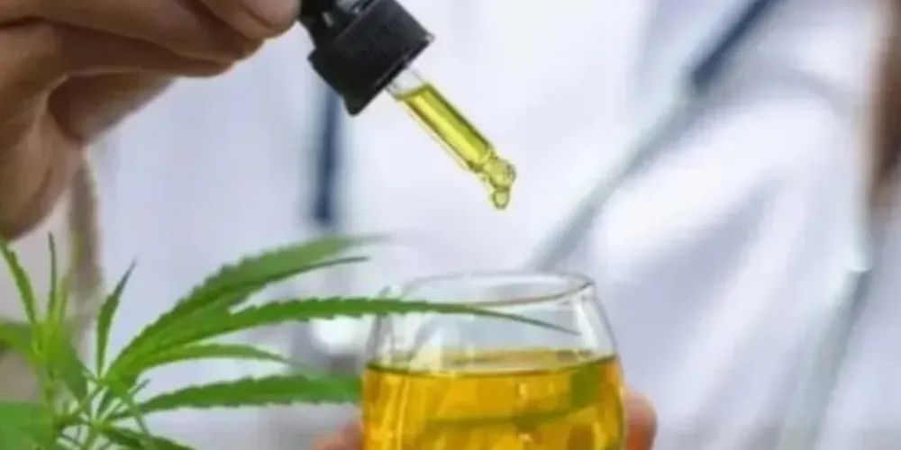 Governo Lula retomará conselho de políticas sobre drogas