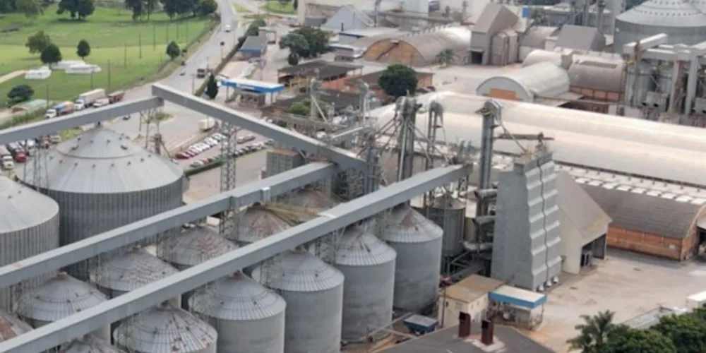 Cooperativas agroindustriais atuam nos setores agrícola e pecuário, com a industrialização de produtos, além de atuar na produção de energia