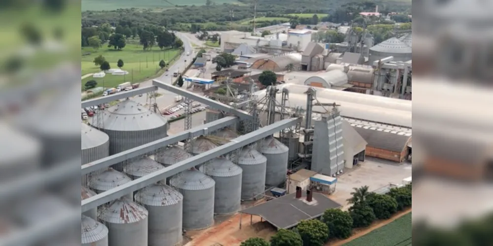 Cooperativas agroindustriais atuam nos setores agrícola e pecuário, com a industrialização de produtos, além de atuar na produção de energia