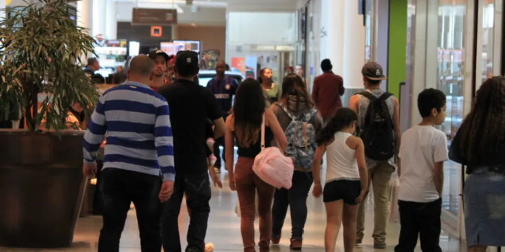 Entre os 11 setores avaliados pela pesquisa em 2022, seis apresentaram crescimento e cinco tiveram retração nas vendas