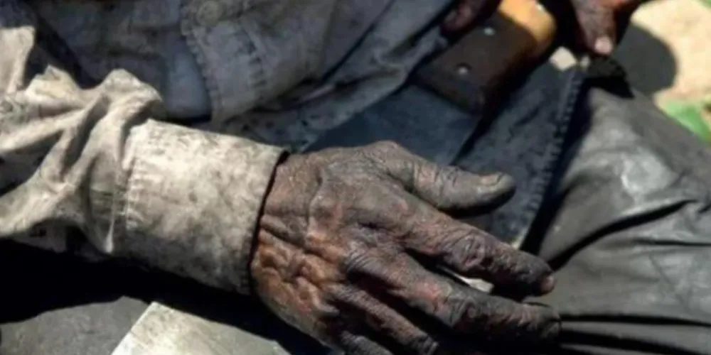 Vinícola se diz envergonhada por trabalho escravo: 'Indesculpável'