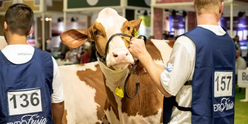 Julgamentos, Clube de Bezerras e a Copa dos Apresentadores marcaram o segundo e o terceiro dias da ExpoFrísia