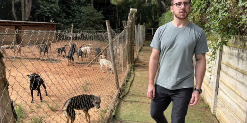 Em 2022, o mandato do vereador Geraldo Stocco destinou R$ 20 mil para duas ONGs que atuam na causa animal em Ponta Grossa