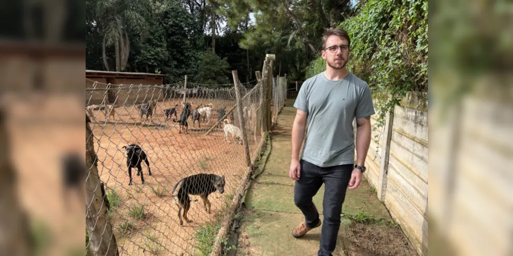 Em 2022, o mandato do vereador Geraldo Stocco destinou R$ 20 mil para duas ONGs que atuam na causa animal em Ponta Grossa