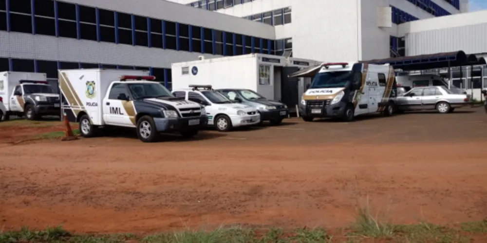 Imagem ilustrativa da imagem Menino de dois anos morre após ser atropelado em Imbituva