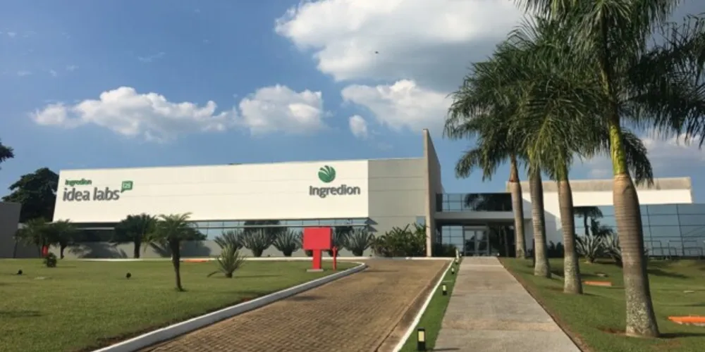 Empresa busca por universitários que se formem entre junho de 2024 e junho de 2025