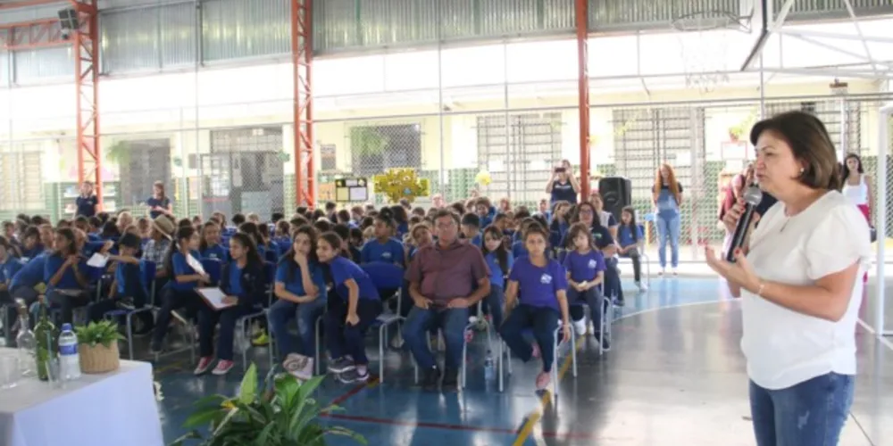 A escola instalou três colmeias, duas para abelhas da espécie jataí e outra para abelhas da espécie mandaçaia