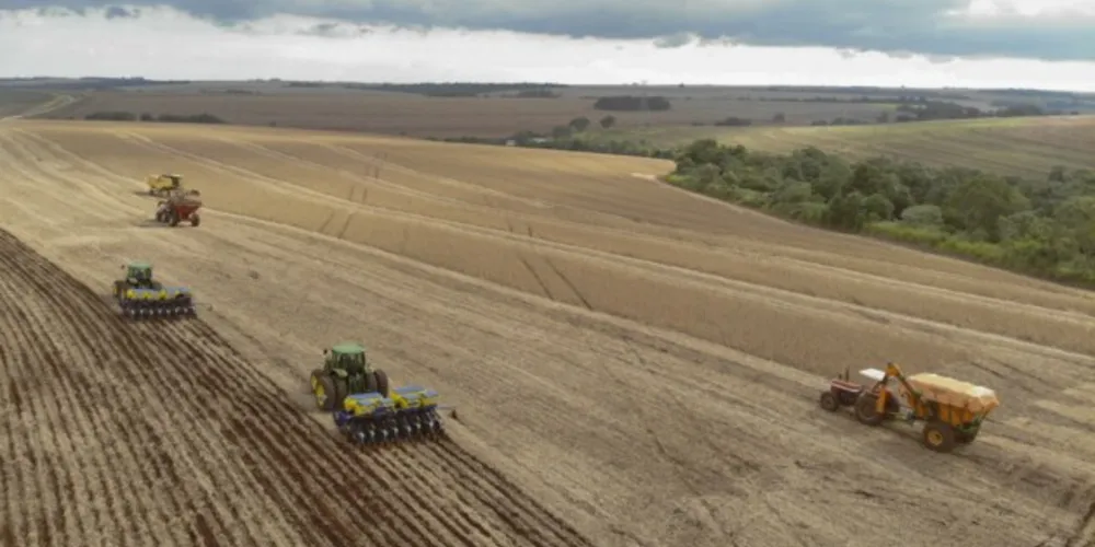 A soja teve acréscimo de mais 1 milhão de hectares colhidos