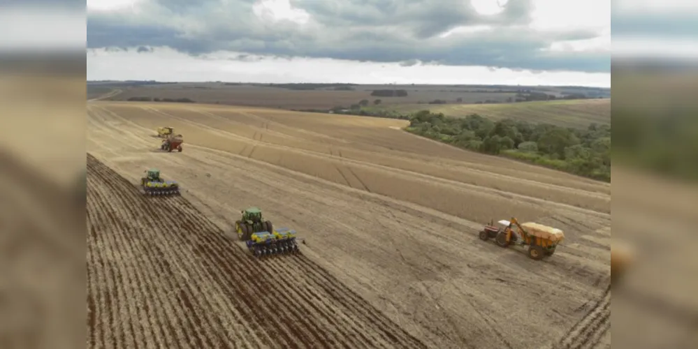 A soja teve acréscimo de mais 1 milhão de hectares colhidos