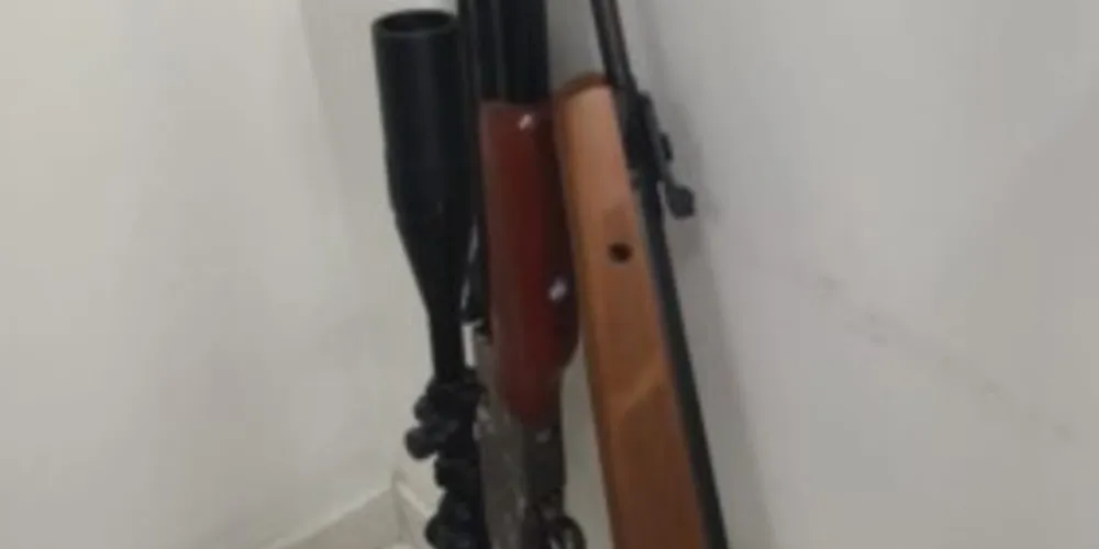 Pistolas, espingardas e munições foram apreendidas