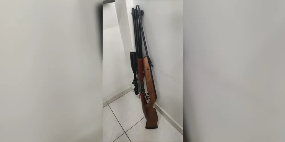 Pistolas, espingardas e munições foram apreendidas