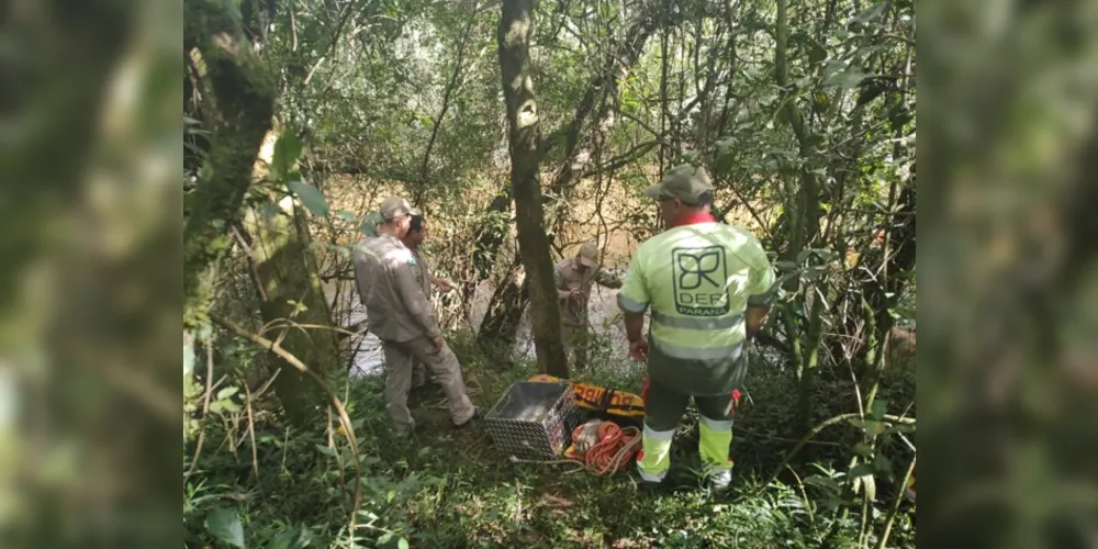 Equipes de socorro foram acionadas até o local para prestar atendimento à ocorrência