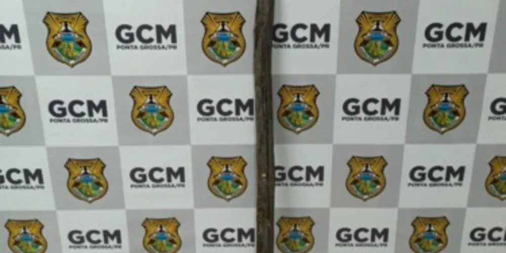 Pedaço de pau utilizado na tentativa de agressão foi apreendido