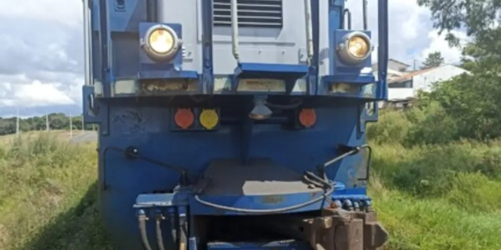 Animal foi atingido pelo trem neste domingo