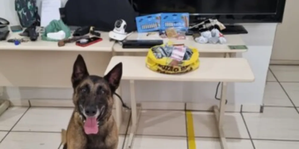 Operação contou com o apoio de cães da Polícia Civil