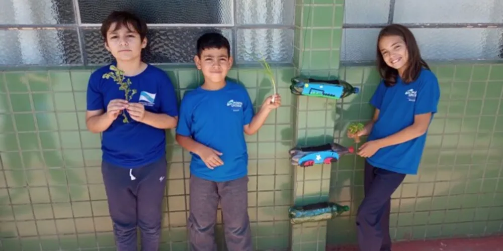 Alunos realizaram o processo do zero, fazendo pesquisas e executando a construção do recepiente e a plantação das mudas