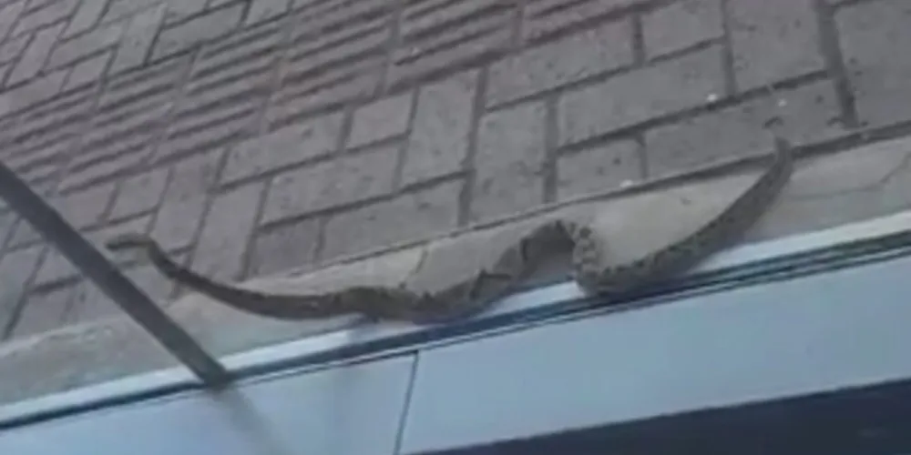 Local é conhecido pelo comércio e pelo intenso fluxo de pessoas