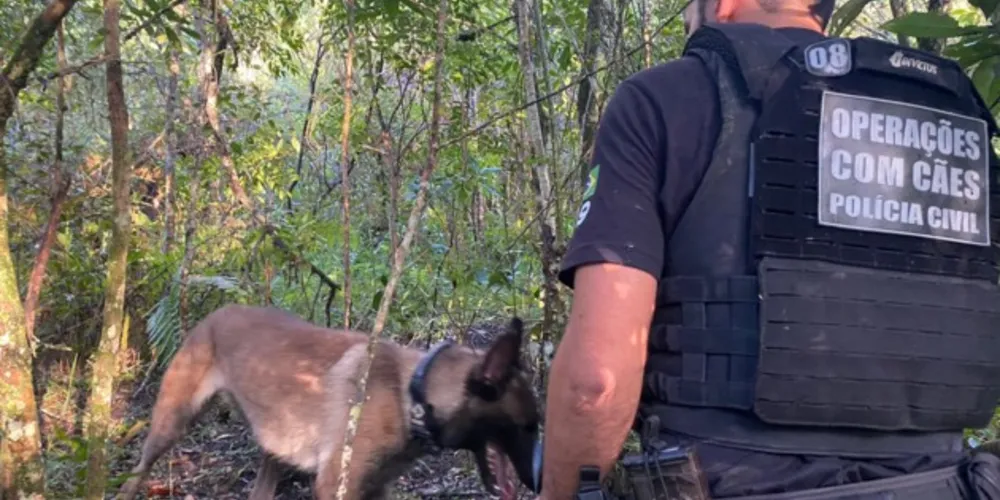 Operação prendeu em flagrante quatro indivíduos em Palmeira