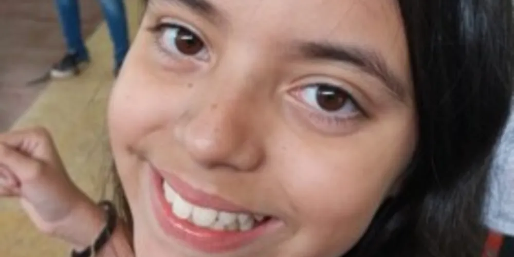 Conteúdos presentes nos livros foram agregados de forma concreta pela turma