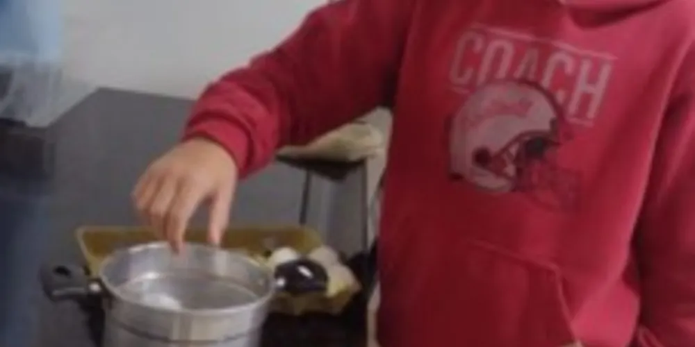 Com atividades práticas, os alunos tiveram um recurso de apoio na fixação do conteúdo sobre as células