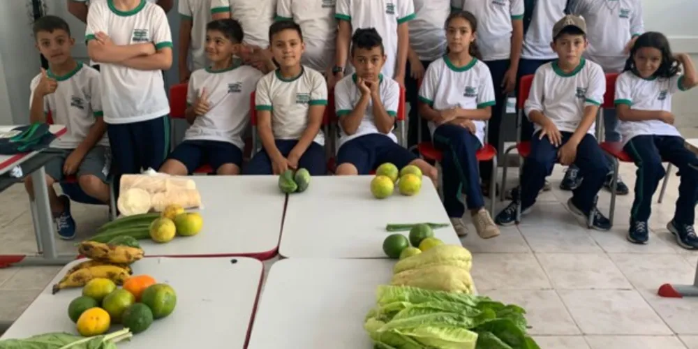 Práticas ajudaram a elucidar trabalho em sala de aula