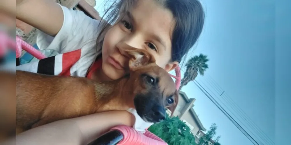 Cadela da raça pinscher, de cor caramelo, atende pelo nome de Mel