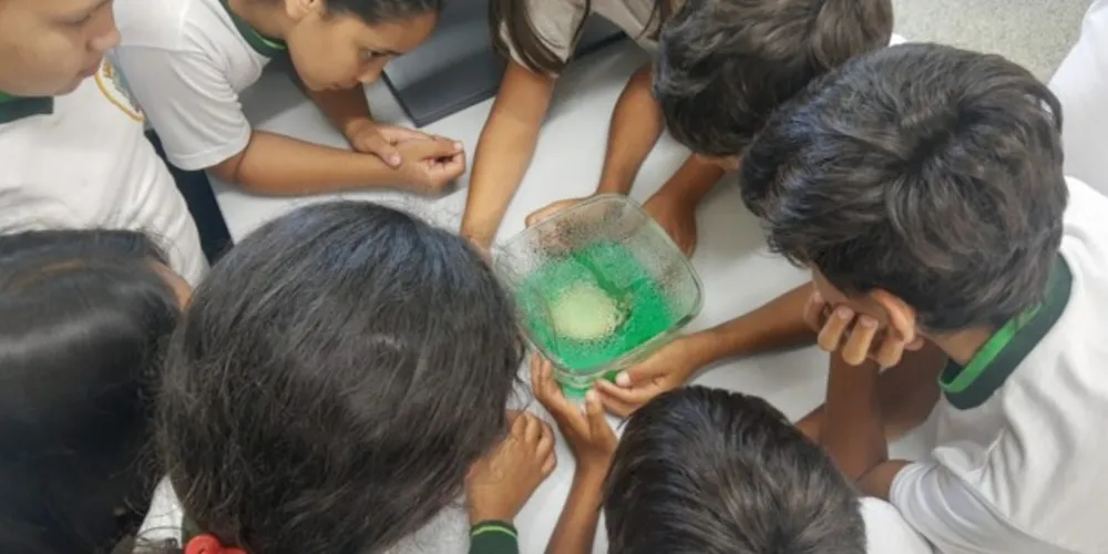 Métodos práticos contribuíram para que alunos entendessem mais sobre o assunto