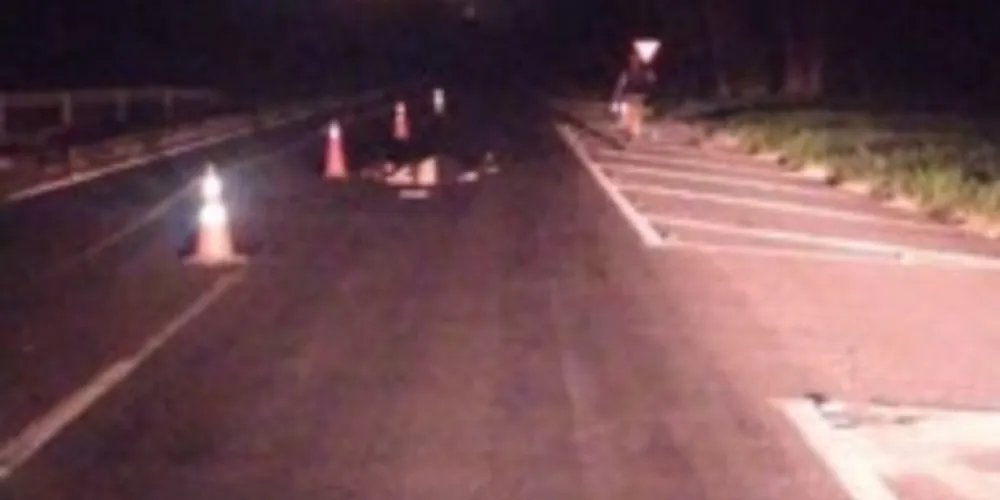 Atropelamento foi no km 166 da rodovia