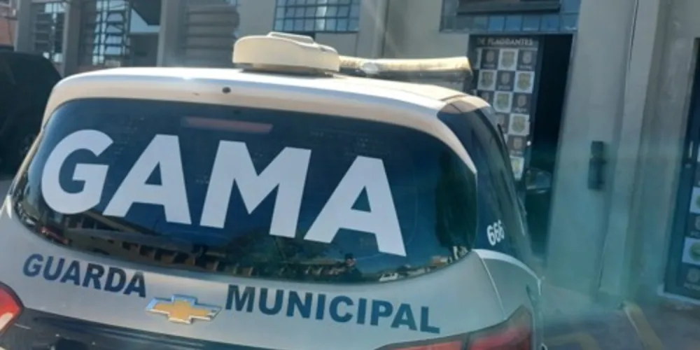 Ao ser localizado e levado até a delegacia, o motorista alegou que o cachorro teria batido contra o veículo