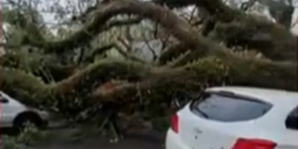 Apesar do susto, ninguém ficou ferido