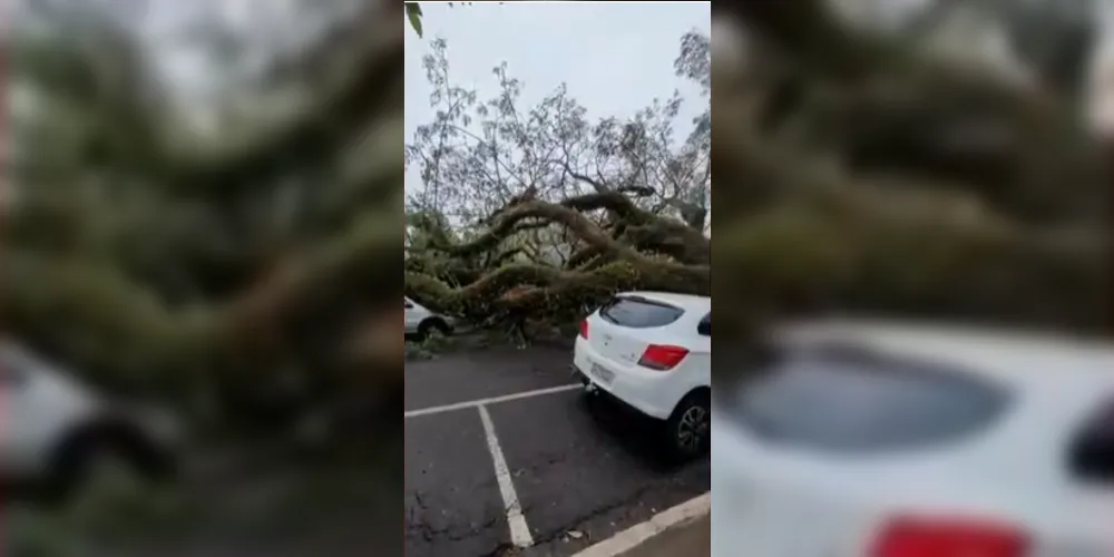 Apesar do susto, ninguém ficou ferido