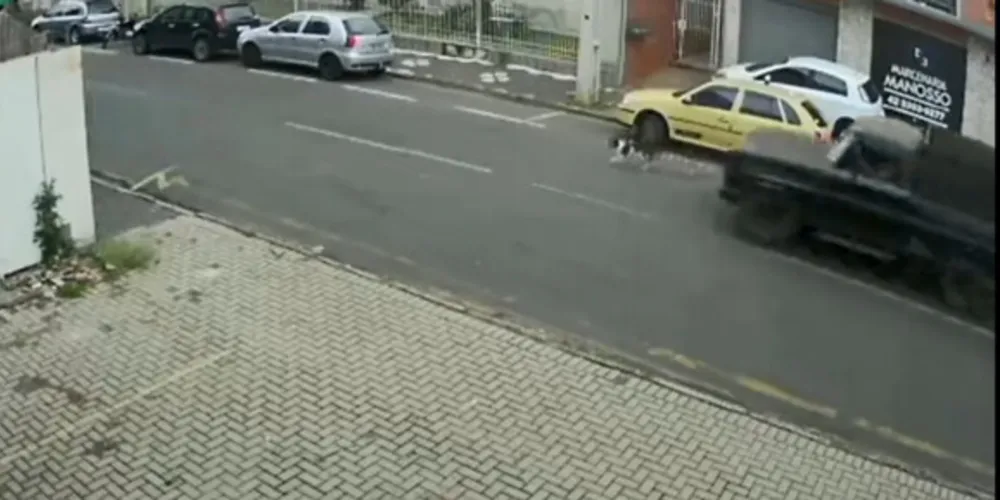 Cão não consegue escapar do veículo na região da Palmeirinha
