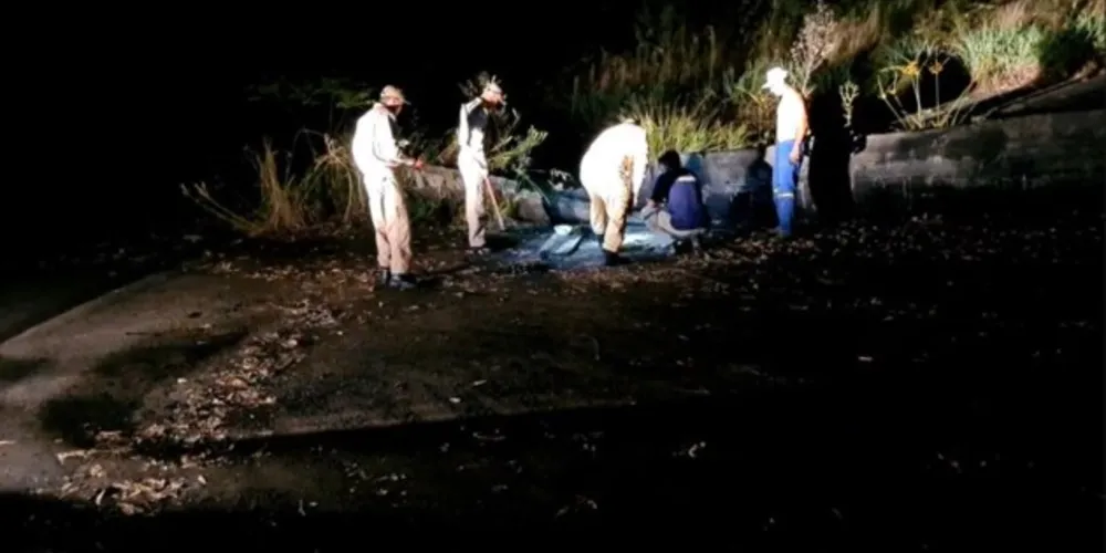 Resgate de animais aconteceu na noite desta sexta-feira (31)