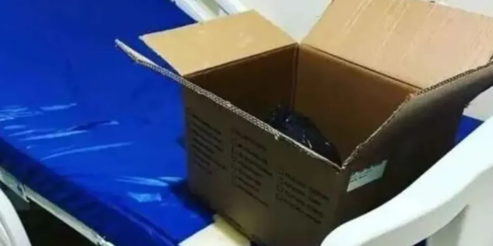 Corpo do bebê foi recolhido ao necrotério do IML