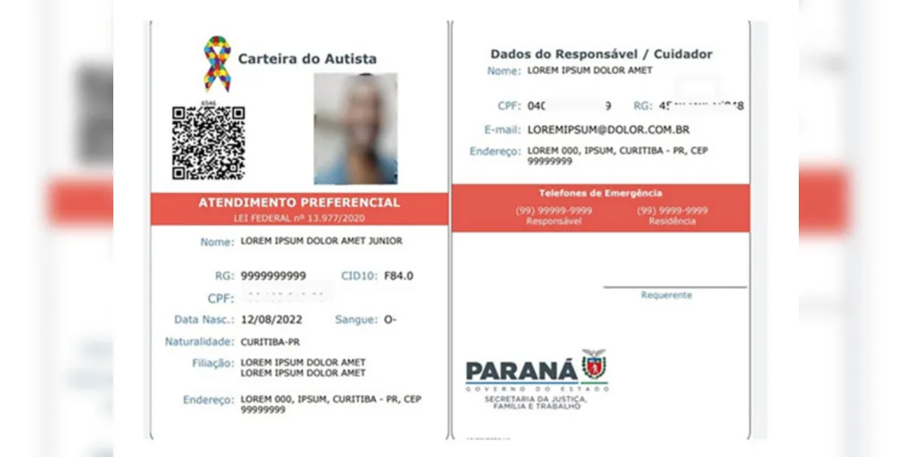 Carteira garante direitos e prioridade de atendimento em serviços públicos e estabelecimentos particulares