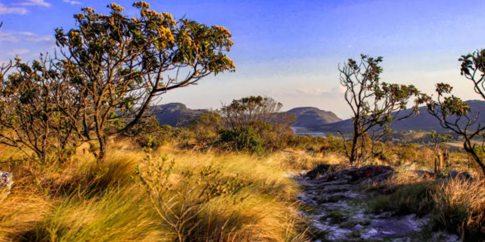 Produção detalha a formação e todas as características do bioma