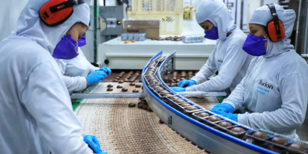 O setor foi responsável por 4.061 empregos formais no Paraná em 2021, distribuídos em 56 empresas.