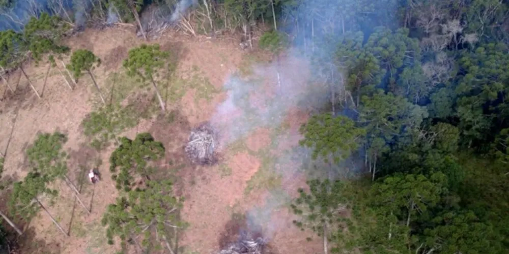 Foram duas sessões de sobrevoo, de quatro horas cada uma, por 11 municípios da região
