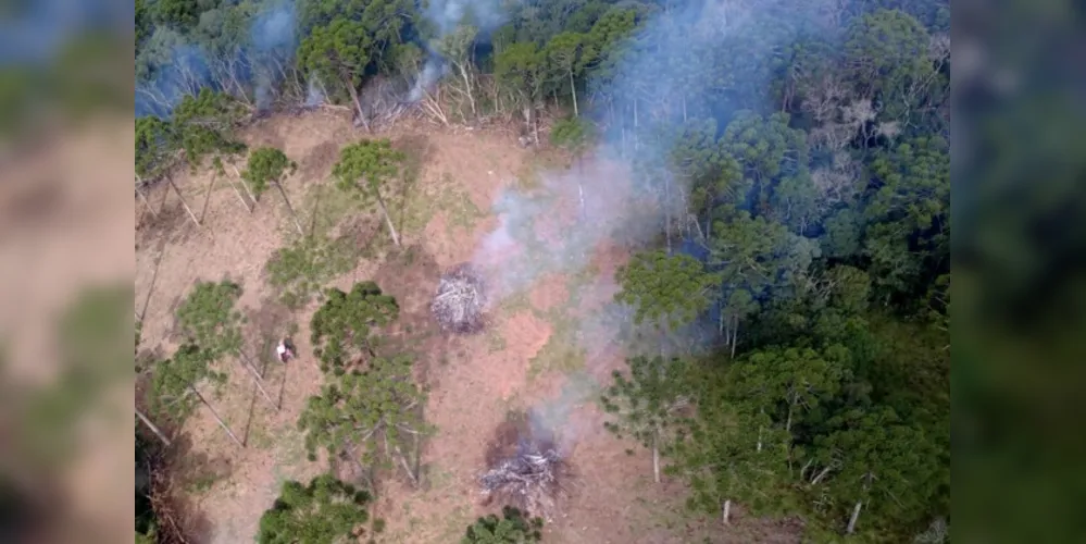 Foram duas sessões de sobrevoo, de quatro horas cada uma, por 11 municípios da região