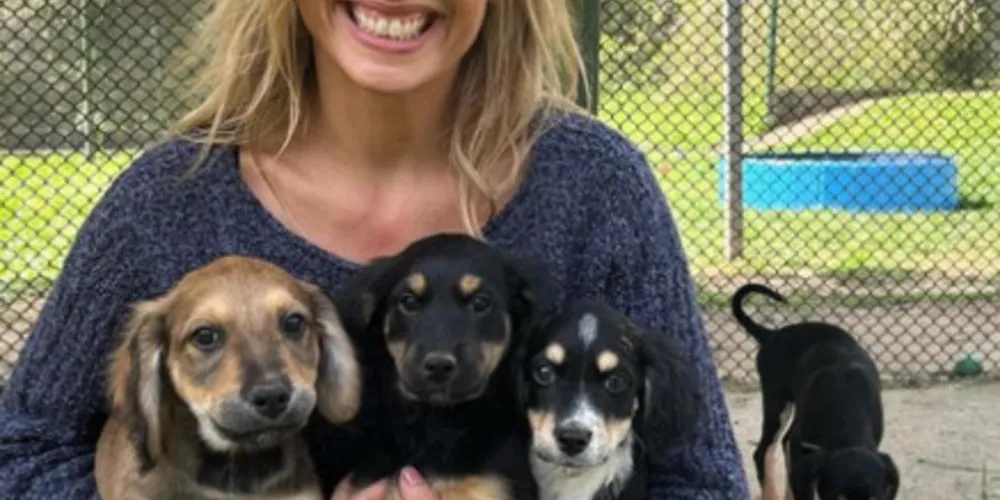 Luisa Mell rebate as acusações e afirma que sempre atou como fundadora e presidente do instituto, sem receber salário