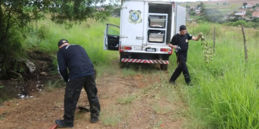Restos mortais foram recolhidos para o necrotério do IML de Ponta Grossa