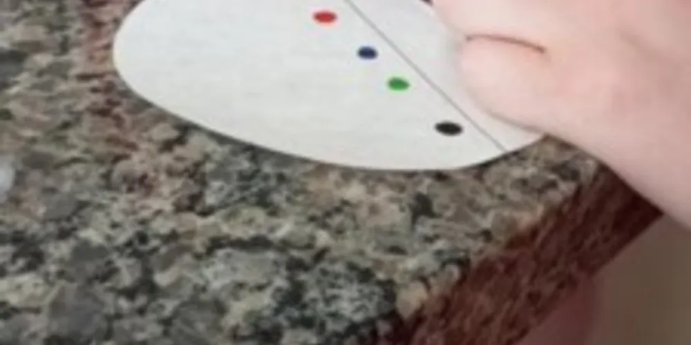 As atividades aprofundaram as temáticas envolvendo moléculas polares e apolares com experimentos práticos