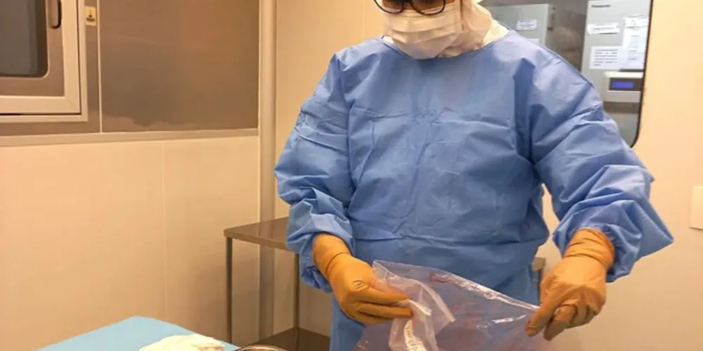 Pesquisa desenvolve curativos biológicos à base de placenta